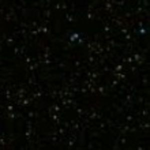 Meet your Posher, Nadia